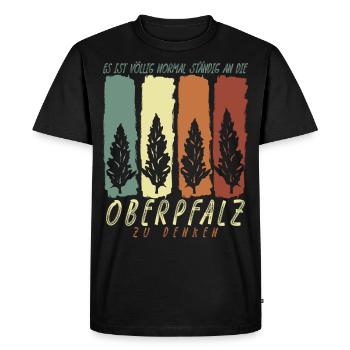 Haut-Palatinat Palatinat Witz Haut-Palatinat - T-shirt Premium bio Homme - noir - Devant - Nico (187cm)