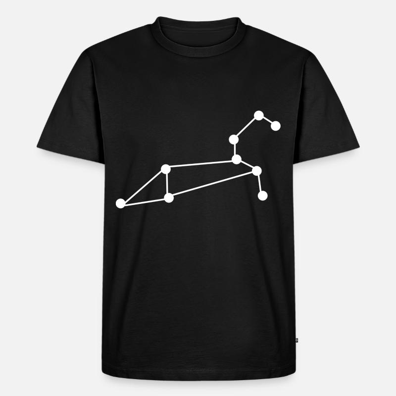 Sternbild Löwe - Männer Premium Bio T-Shirt - Schwarz