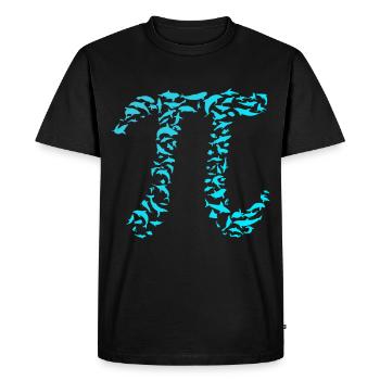 pi - Men's Premium Organic T-Shirt - black - Front - Nico (187cm)