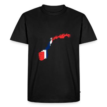 Norway - Men's Premium Organic T-Shirt - black - Front - Nico (187cm)