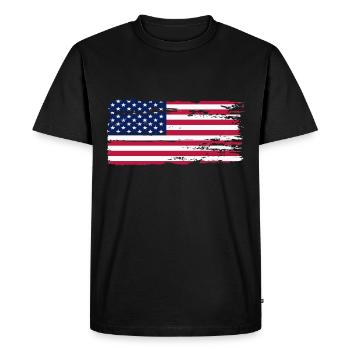 Style vintage original du drapeau américain - T-shirt Premium bio Homme - noir - Devant - Nico (187cm)