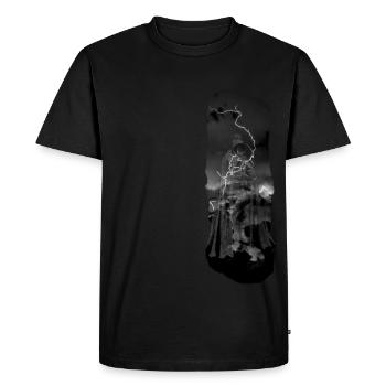 King Arthur - Men's Premium Organic T-Shirt - black - Front - Nico (187cm)
