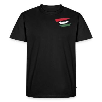 Rayures de style hongrois - T-shirt Premium bio Homme - noir - Devant - Nico (187cm)