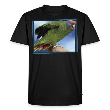 Le perroquet à queue rousse - T-shirt Premium bio Homme - noir - Devant - Nico (187cm)