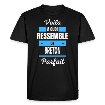 Voila a quoi ressemble un BRETON parfait - T-shirt Premium bio Homme - noir - Devant - Nico (187cm)