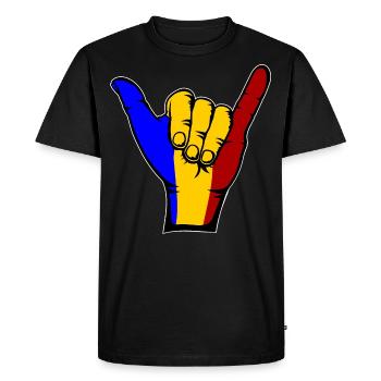 Romania Flag Surfing Symbol - Men's Premium Organic T-Shirt - black - Front - Nico (187cm)