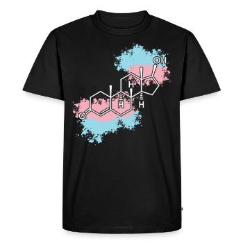 Fierté LGBT transgenre - T-shirt Premium bio Homme - noir - Devant - Nico (187cm)