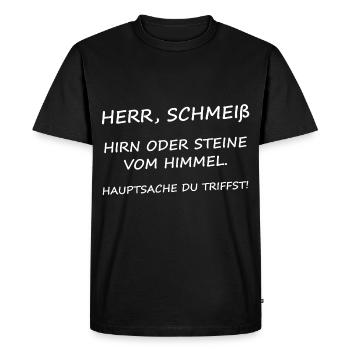 Herr, Schmeiß Hirn oder Steine vom Himmel - Männer Premium Bio T-Shirt - Schwarz - Vorne - Nico (187cm)