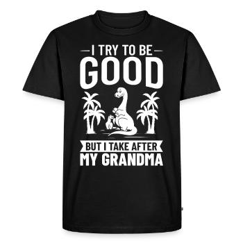 Dinosaur Grandma Saurus Omasaurus Grandmother - Men's Premium Organic T-Shirt - black - Front - Nico (187cm)
