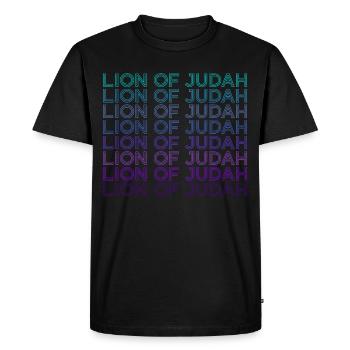 Lion de Juda Juif Israël Hébreu Rétro - T-shirt Premium bio Homme - noir - Devant - Nico (187cm)