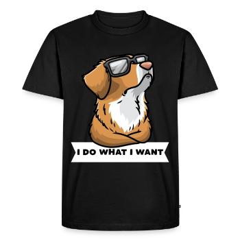 Nova Scotia Duck Tolling Retriever - Men's Premium Organic T-Shirt - black - Front - Nico (187cm)
