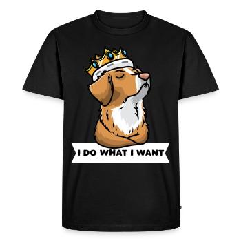 Nova Scotia Duck Tolling Retriever Dog - Men's Premium Organic T-Shirt - black - Front - Nico (187cm)