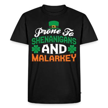 Sensible aux bêtises et aux méfaits Irlande Gaélique Irlandais - T-shirt Premium bio Homme - noir - Devant - Nico (187cm)