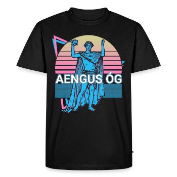 Aengus Og Dieu irlandais Ancienne mythologie irlandaise Re - T-shirt Premium bio Homme - noir - Devant - Nico (187cm)