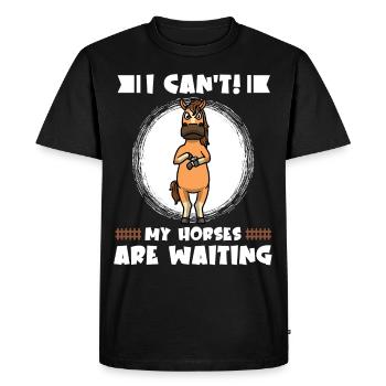 Horse Horse fan Horse lovers - Men's Premium Organic T-Shirt - black - Front - Nico (187cm)