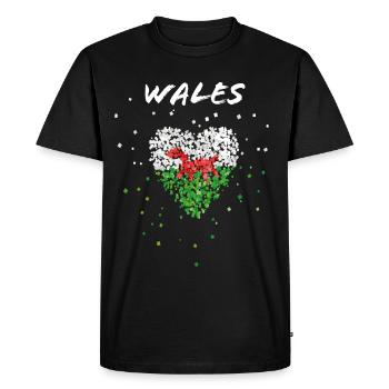 Pays de Galles Drapeau du Pays de Galles Drapeau du Pays de Galles Drapeau du Pays de Galles - T-shirt Premium bio Homme - noir - Devant - Nico (187cm)