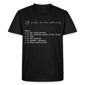 Navier Stokes Equation Fundamental Fluid Dynamics - Men's Premium Organic T-Shirt - black - Front - Nico (187cm)