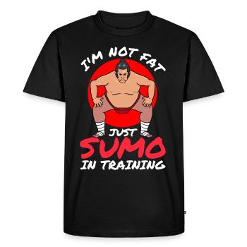 sumo wrestlers sumo wrestling - Men's Premium Organic T-Shirt - black - Front - Nico (187cm)