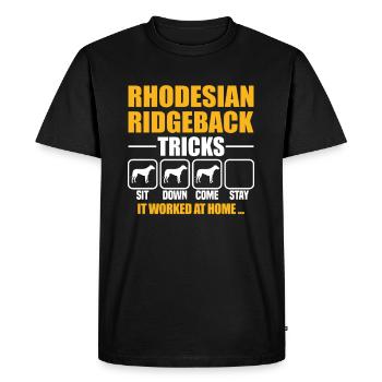 Rhodesian Ridgeback Tricks - Männer Premium Bio T-Shirt - Schwarz - Vorne - Nico (187cm)