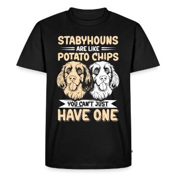 Chiens Stabyhoun Cadeau de propriétaire de chien Stabijhoun - T-shirt Premium bio Homme - noir - Devant - Nico (187cm)