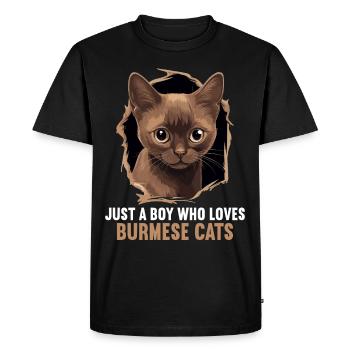 Chat birman Birmanie Katze - T-shirt Premium bio Homme - noir - Devant - Nico (187cm)