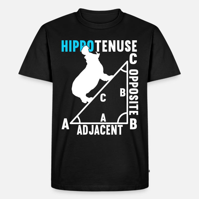 Mathe Mathelehrer - Männer Premium Bio T-Shirt - Schwarz