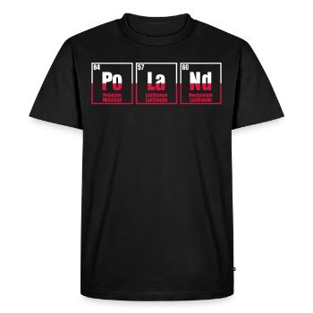 Poland Flag Pole Elements Polish - Men's Premium Organic T-Shirt - black - Front - Nico (187cm)