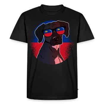Liechtenstein - T-shirt Premium bio Homme - noir - Devant - Nico (187cm)