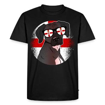 Irlande du Nord - T-shirt Premium bio Homme - noir - Devant - Nico (187cm)