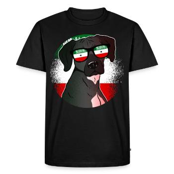Somaliland - Men's Premium Organic T-Shirt - black - Front - Nico (187cm)