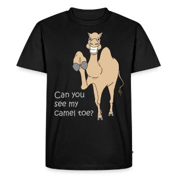chemise de cadeau de paroles drôles d'orteil de chameau étape - T-shirt Premium bio Homme - noir - Devant - Nico (187cm)