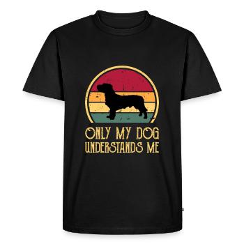 Basset Fauve De Bretagne Dog Silhouette Retro Sun - Men's Premium Organic T-Shirt - black - Front - Nico (187cm)
