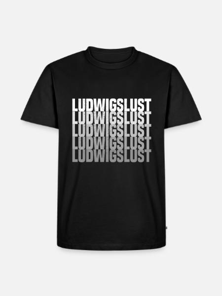 Ludwigslust - Männer Premium Bio T-Shirt - Schwarz