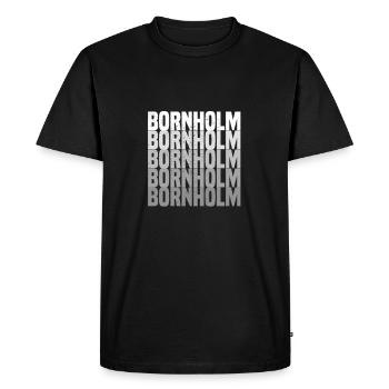 Bornholm - T-shirt Premium bio Homme - noir - Devant - Nico (187cm)