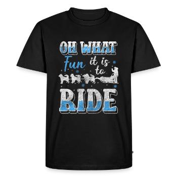 Tobogganing, winter sports, luge, ice - Men's Premium Organic T-Shirt - black - Front - Nico (187cm)