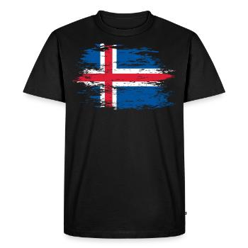 Iceland used - Men's Premium Organic T-Shirt - black - Front - Nico (187cm)