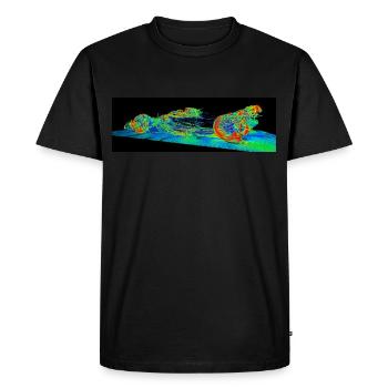 Formula Aero - Men's Premium Organic T-Shirt - black - Front - Nico (187cm)
