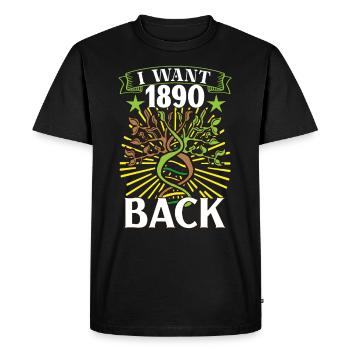 Arbre généalogique Historiens de la famille Généalogie Généalogiste - T-shirt Premium bio Homme - noir - Devant - Nico (187cm)