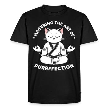Kung Fu Chinese Kung Fu Asian Kung Fu - Men's Premium Organic T-Shirt - black - Front - Nico (187cm)