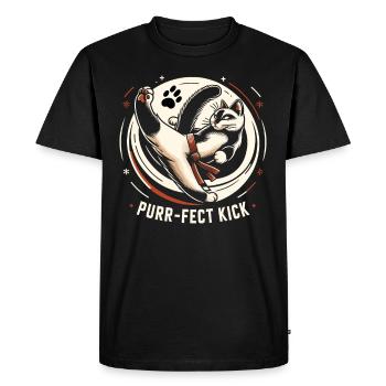 Kung Fu Chinesisches Kung Fu Asiatisches Kung Fu - Männer Premium Bio T-Shirt - Schwarz - Vorne - Nico (187cm)