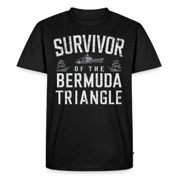 Mysterious disappearances in the Bermuda Triangle - Men's Premium Organic T-Shirt - black - Front - Nico (187cm)