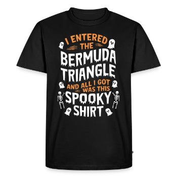 Mysterious disappearances in the Bermuda Triangle - Men's Premium Organic T-Shirt - black - Front - Nico (187cm)