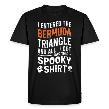 Mysterious disappearances in the Bermuda Triangle - Men's Premium Organic T-Shirt - black - Front - Nico (187cm)