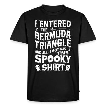 Mysterious disappearances in the Bermuda Triangle - Men's Premium Organic T-Shirt - black - Front - Nico (187cm)
