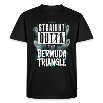 Mysterious disappearances in the Bermuda Triangle - Men's Premium Organic T-Shirt - black - Front - Nico (187cm)
