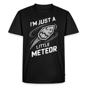 Amateur d’observation des étoiles et de pluie de météores - T-shirt Premium bio Homme - noir - Devant - Nico (187cm)