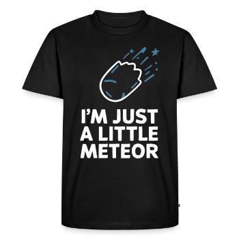 Stargazing And Meteor Shower Enthusiast - Men's Premium Organic T-Shirt - black - Front - Nico (187cm)