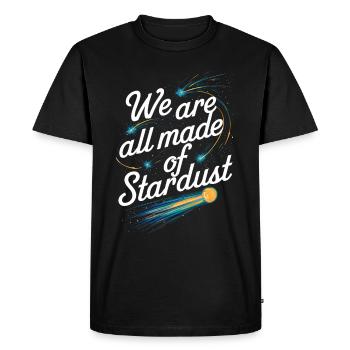 Stargazing And Meteor Shower Enthusiast - Men's Premium Organic T-Shirt - black - Front - Nico (187cm)
