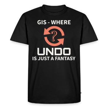GIS Undo Fantasy Data Mapping Errors - Men's Premium Organic T-Shirt - black - Front - Nico (187cm)