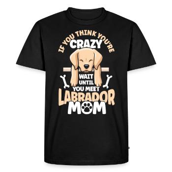 Animal de compagnie Labrador Mama Dog Labrador - T-shirt Premium bio Homme - noir - Devant - Nico (187cm)